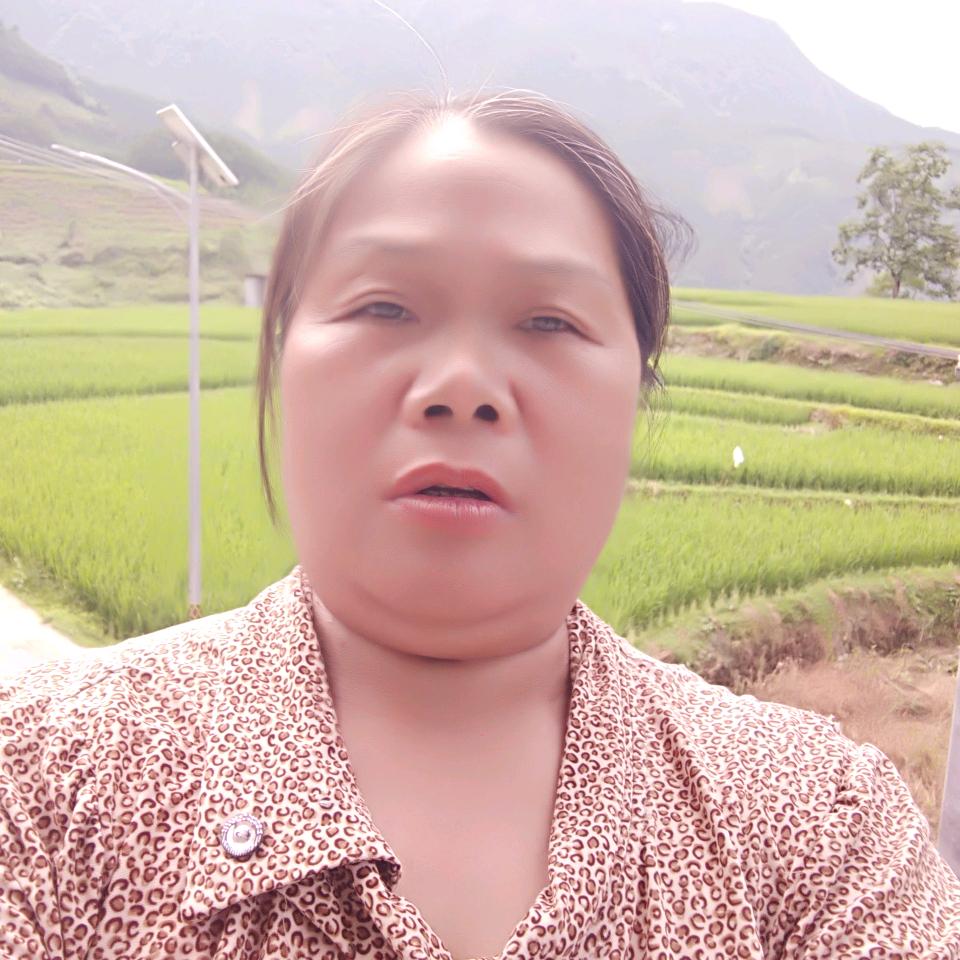 好生活一