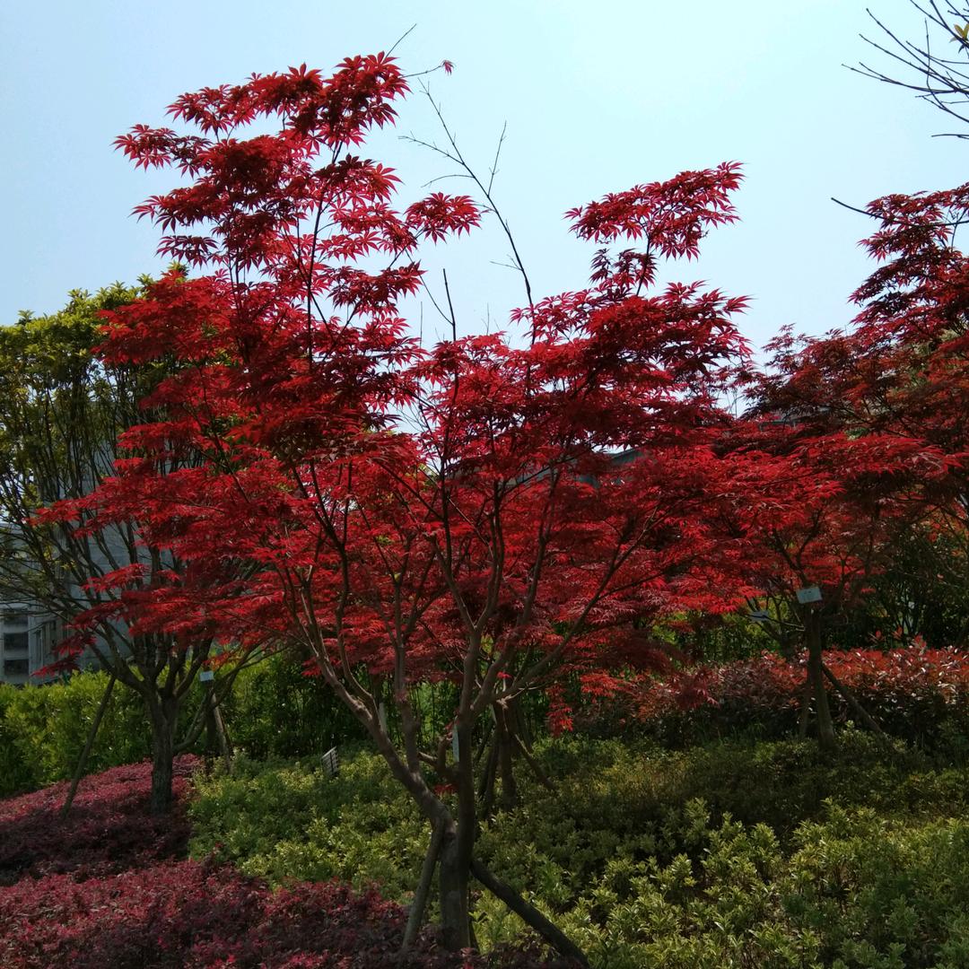 ？？？？。？？？