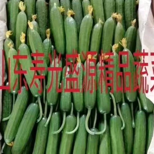 盛源特菜