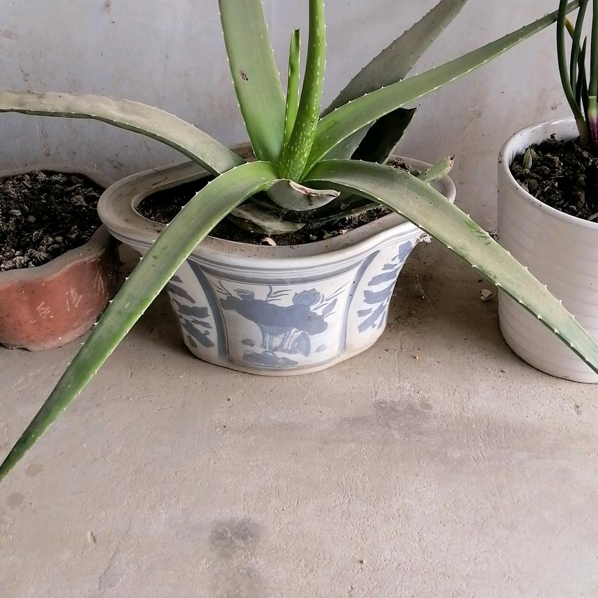 收废品