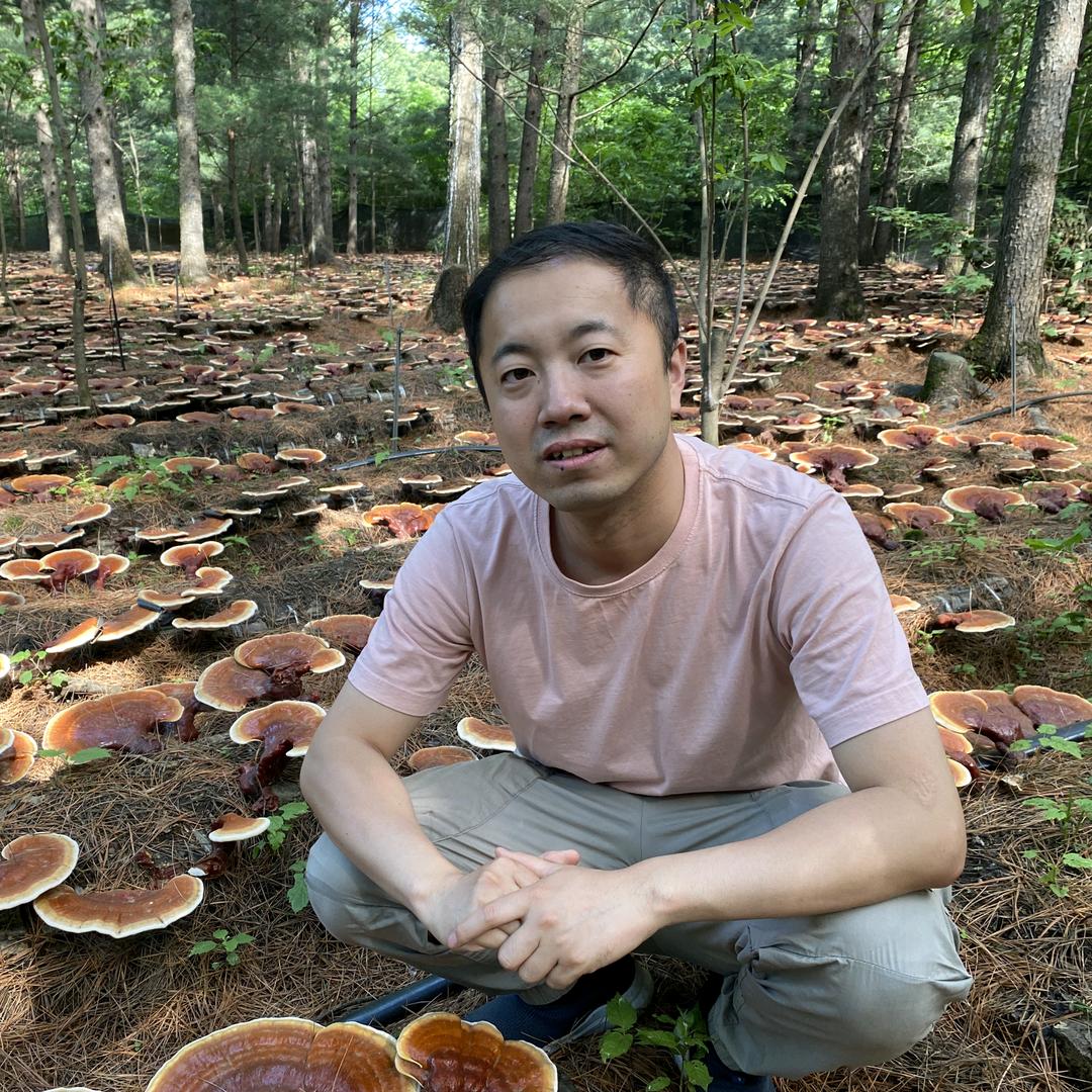 老张甄选工作室