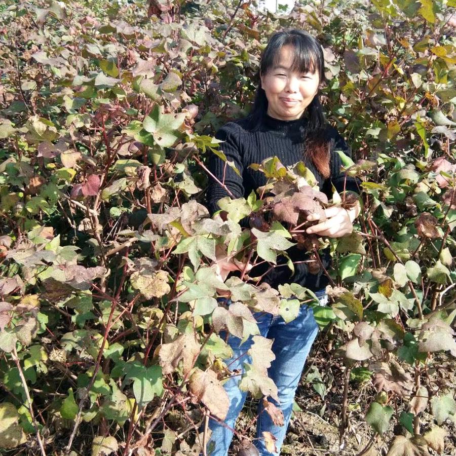 小邹