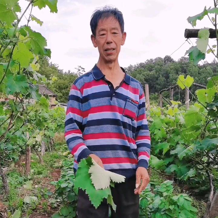 申大哥每天晚上8.20开播