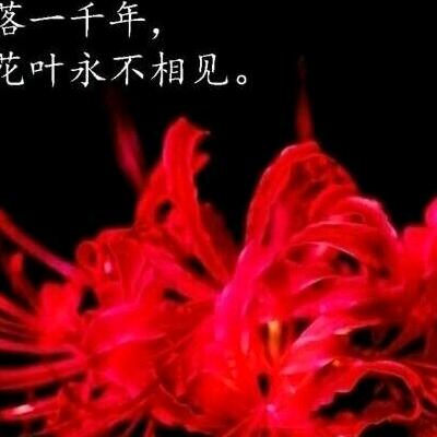 喵喵酱爱唱歌