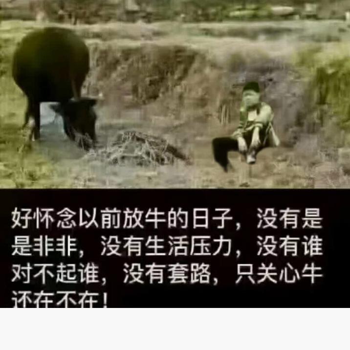 在伤口上撒点撒盐(இωஇ)