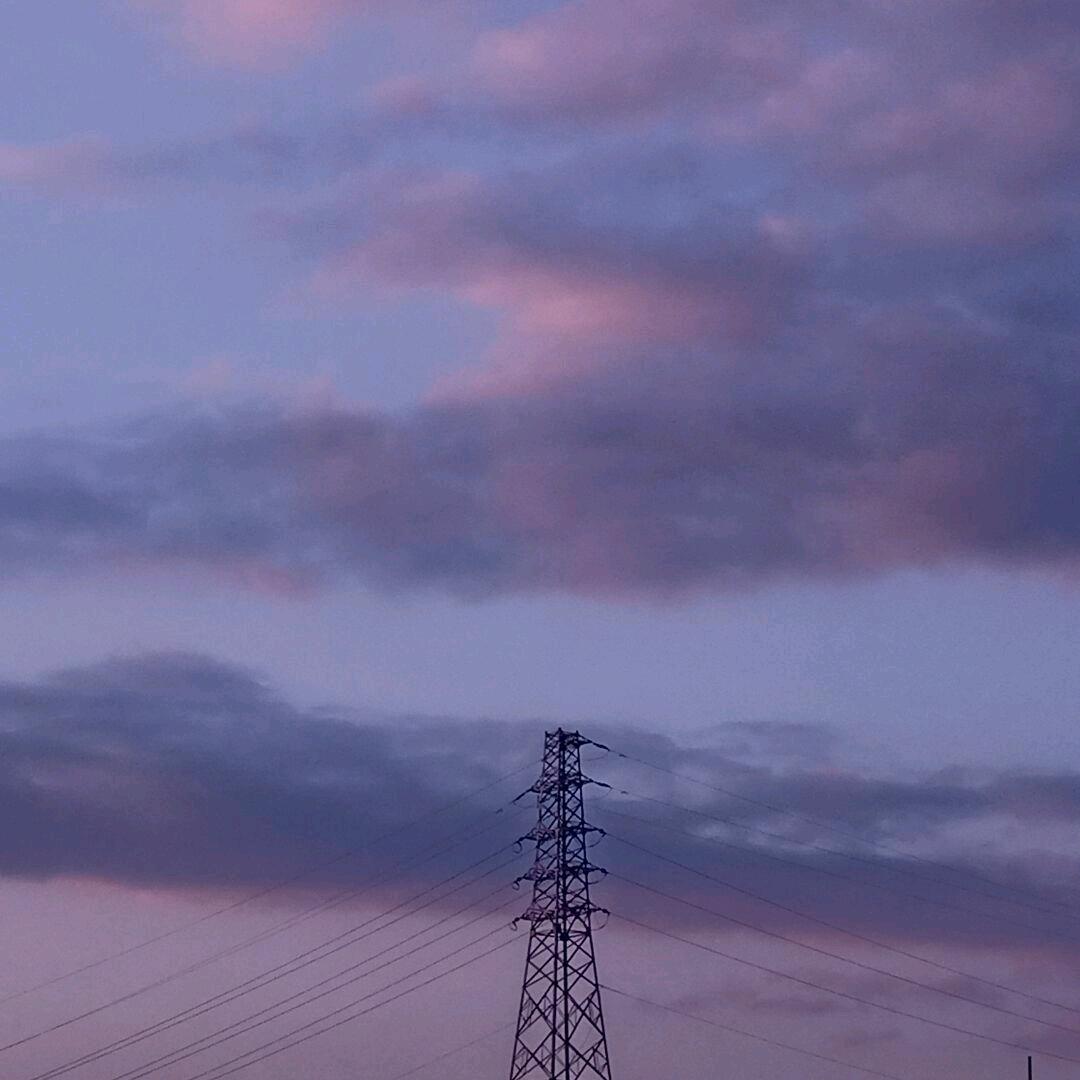 沈雁影