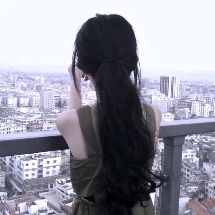 蓝桉树下