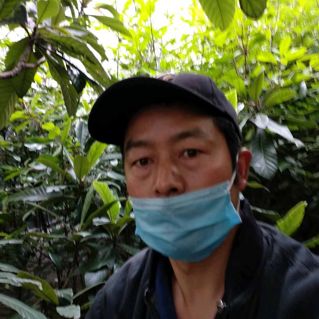 大涟水东风在上海(米其林店)