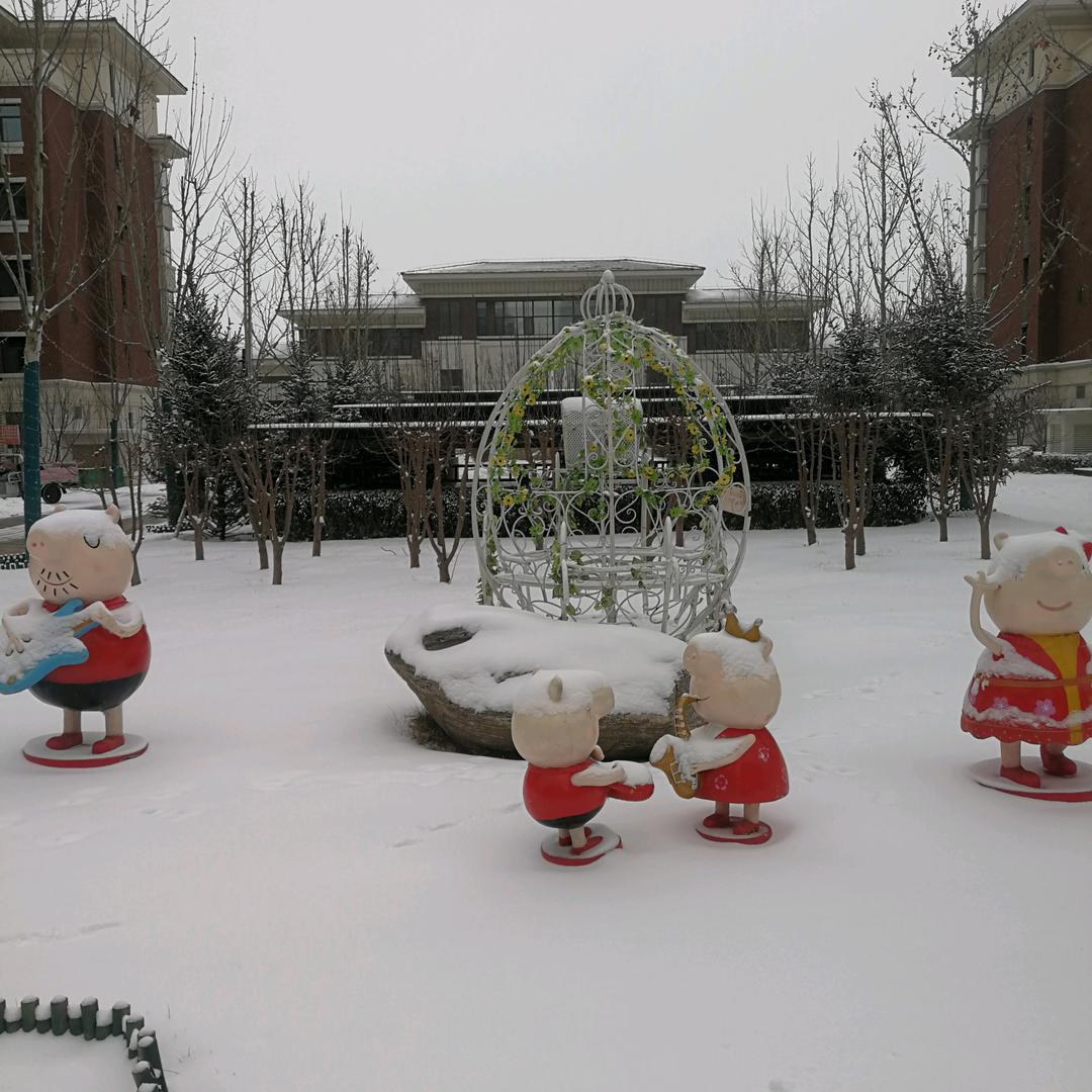 滴水青莲
