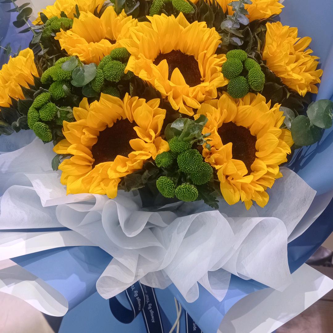 ✨✨✨🌻🌻🌻