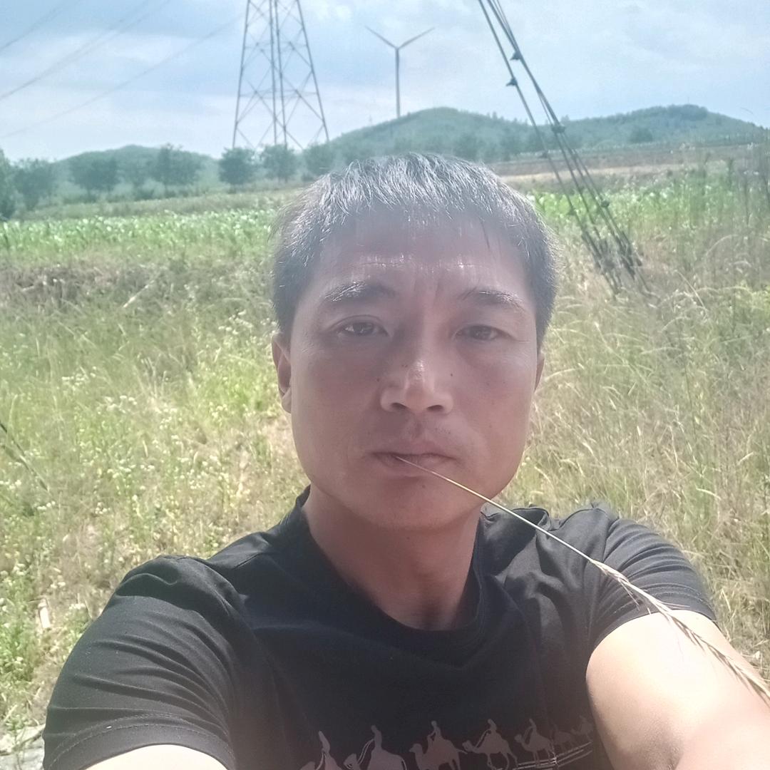 东北✔波哥✔