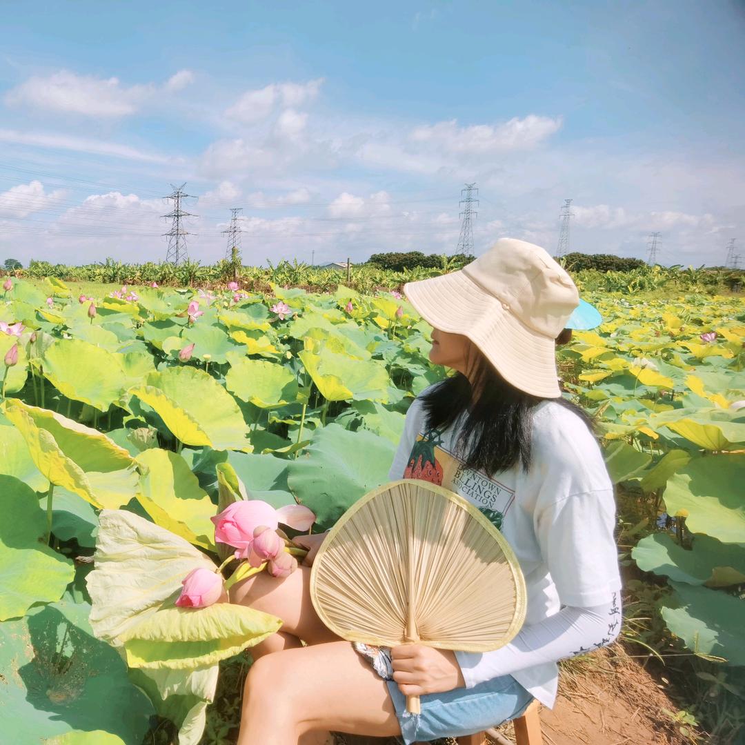 大王游潮汕