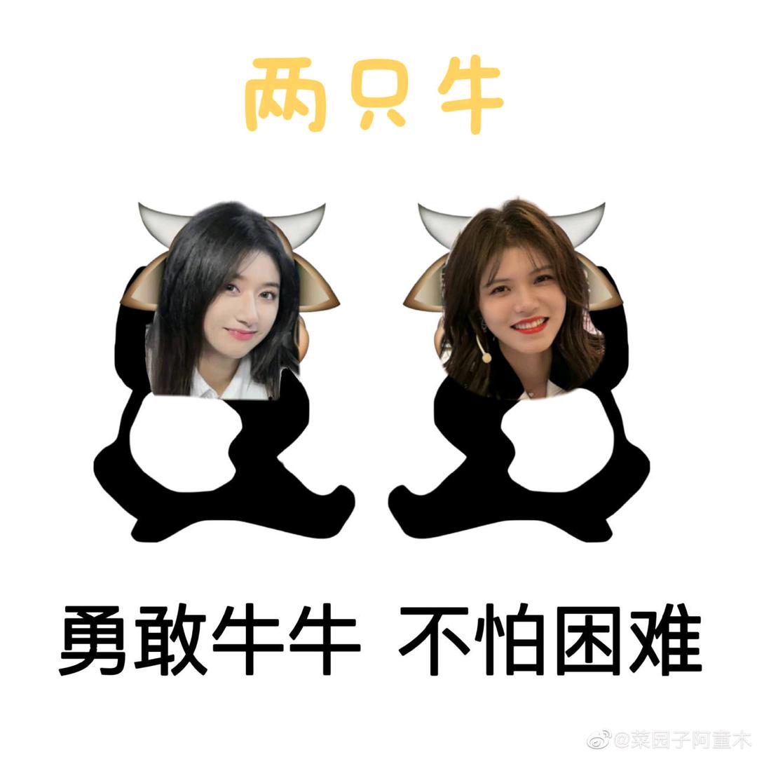 不太聪明的lady🥦🐰