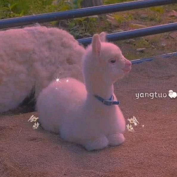 🌈思眠