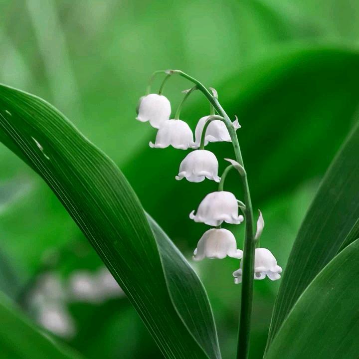 渴慕