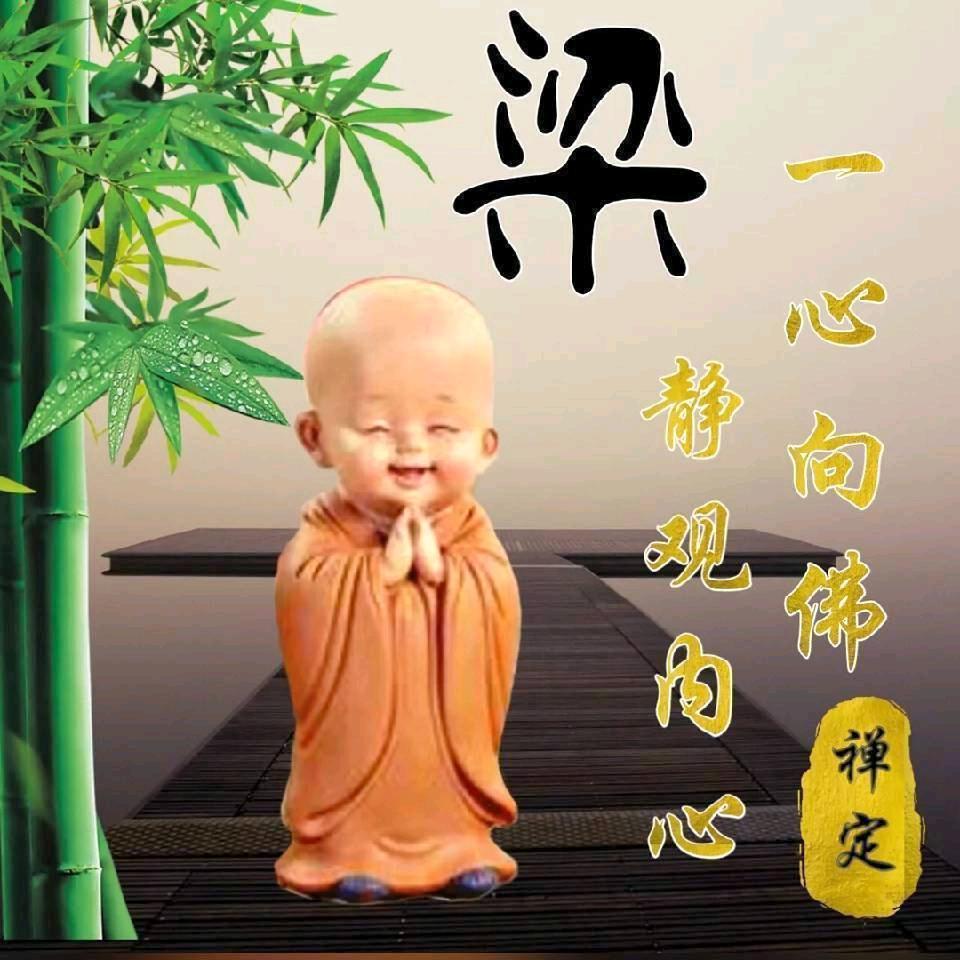 @耿直小虎牙