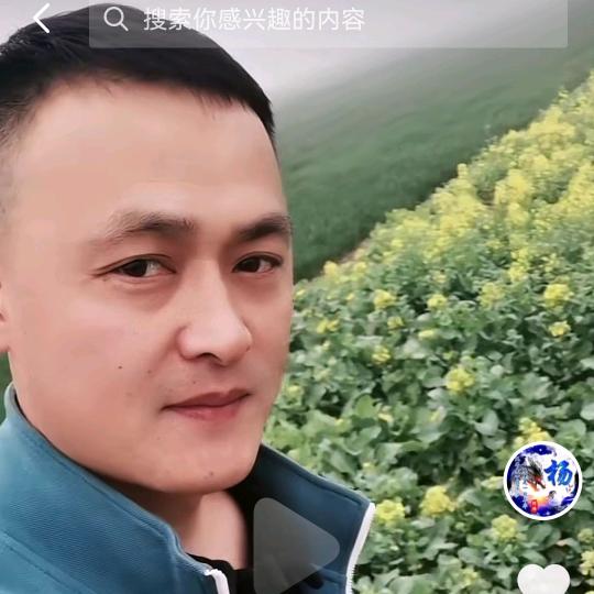 杨国刚