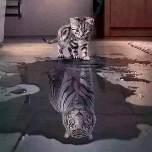 遇见方知孟