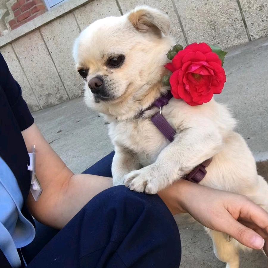 王慧😍