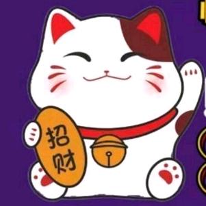 猫猫影视分享