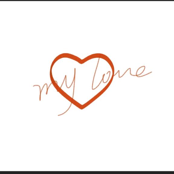 一只属相猪的物种