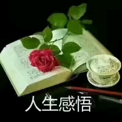 宁静（ING）