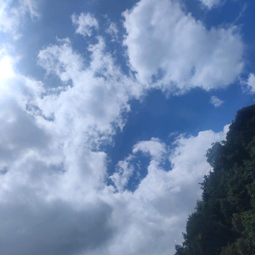 布同凡响赵凡祥