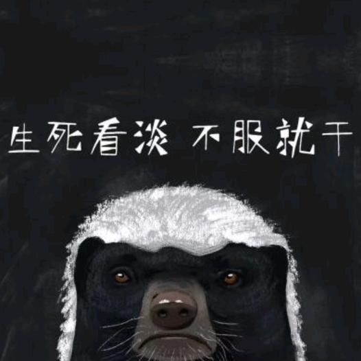 平头兄（峡谷最浪猪八戒）