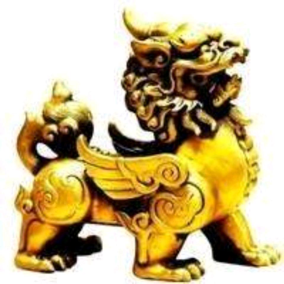 黑龙江医药卫校-关老师