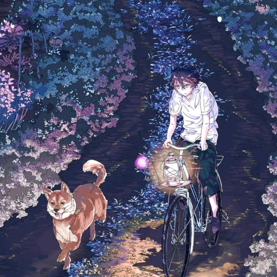 夜骑士