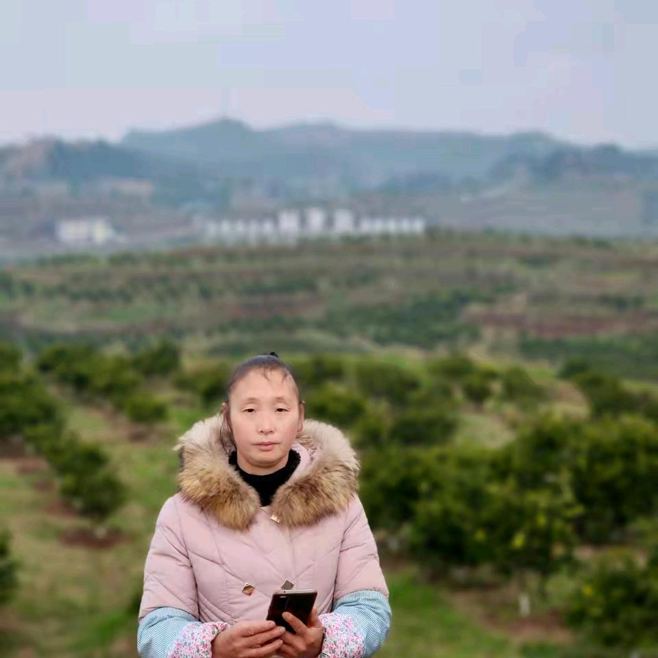 小刘