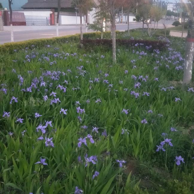 最大的过错就是错过