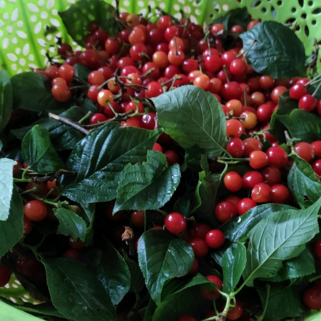 开心快乐每一天2023