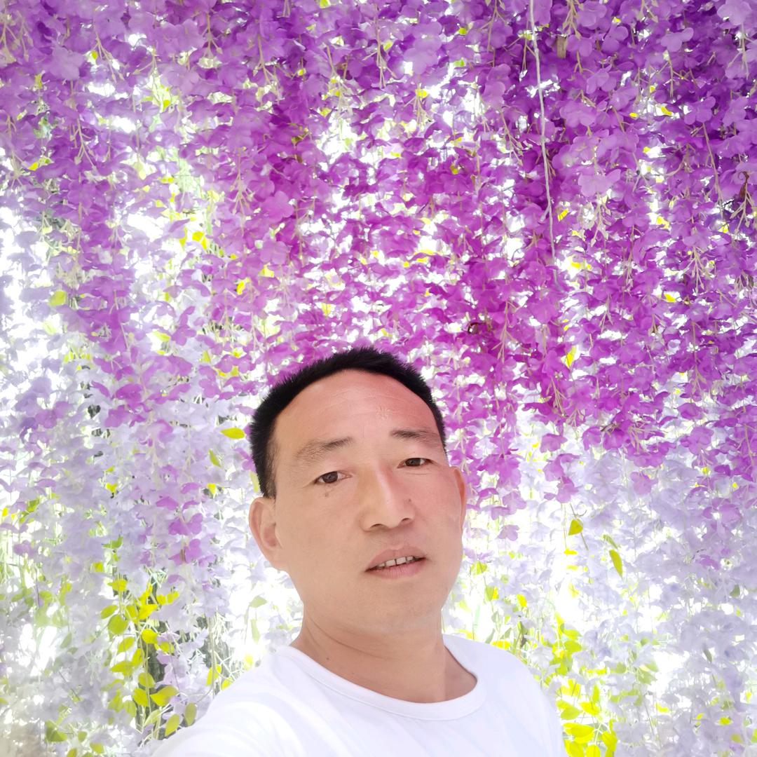 彩板房