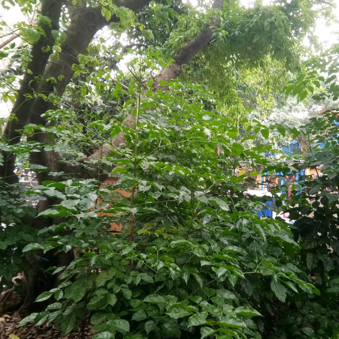 与时俱进