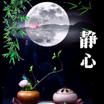 静.心