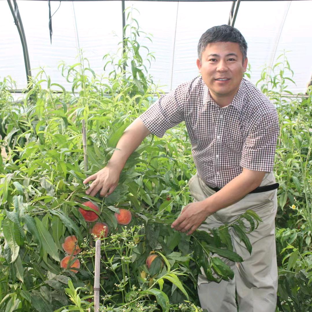 李世访 果树根瘤病防控