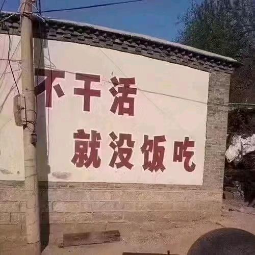 马飞同学