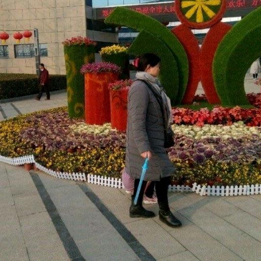 诗情华意