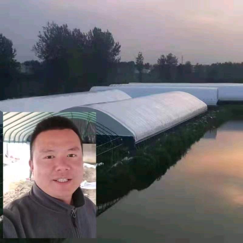怀远县翟氏温室大棚建设