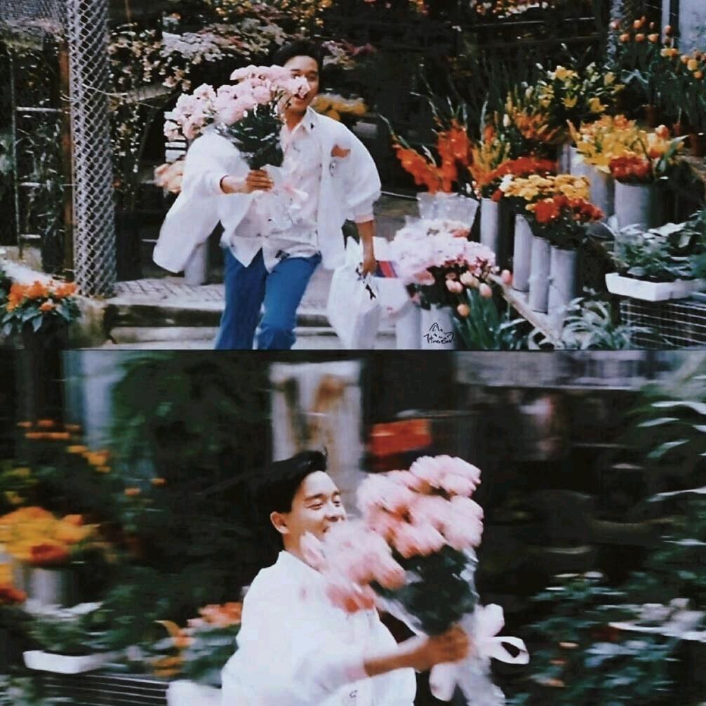 🌟 .