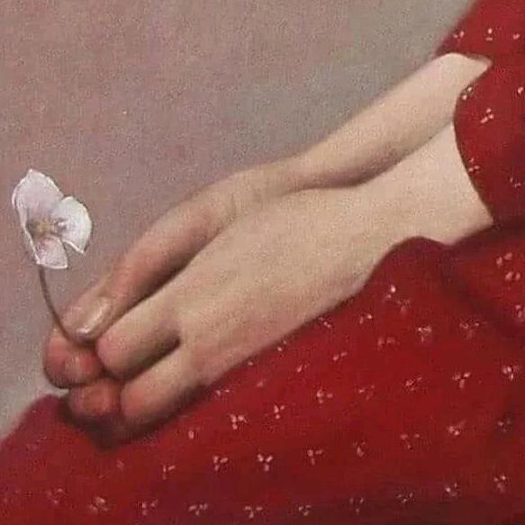 一个姓刘的菇涼