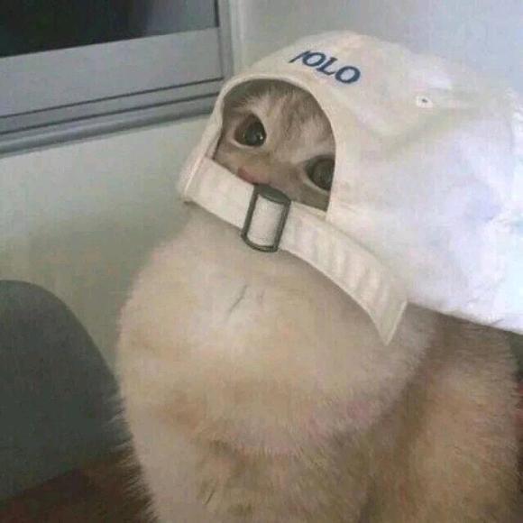 隐形的鸡翅膀