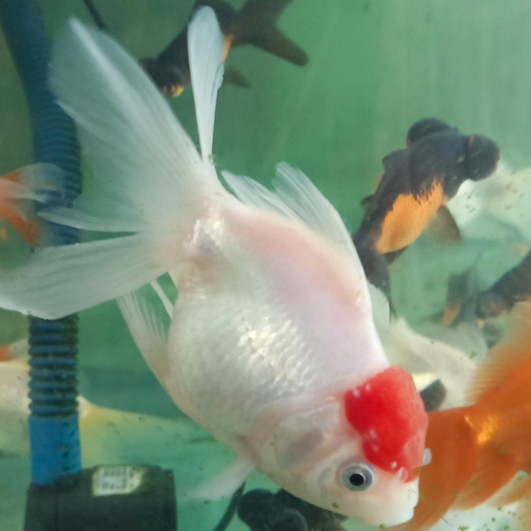 用户37