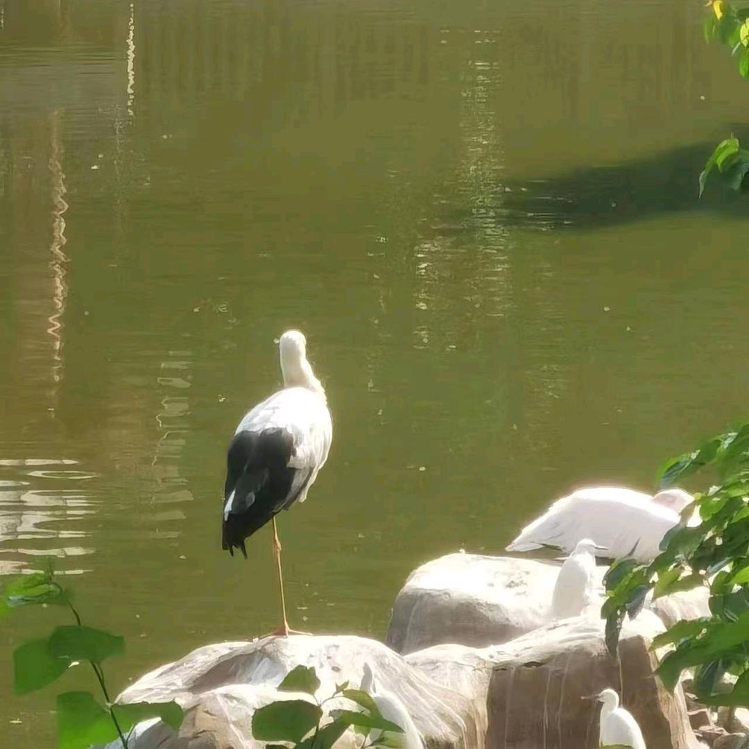 家有三宝