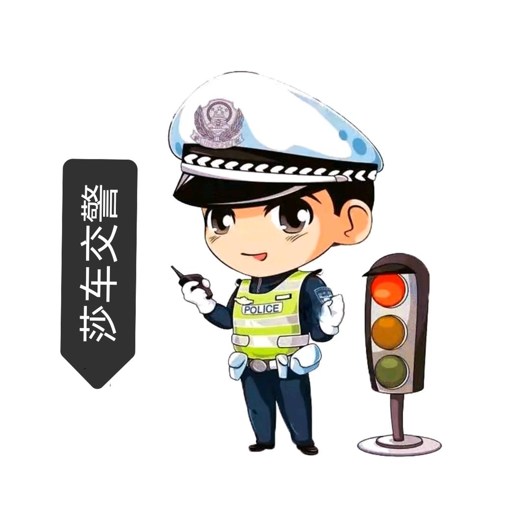 莎车交警