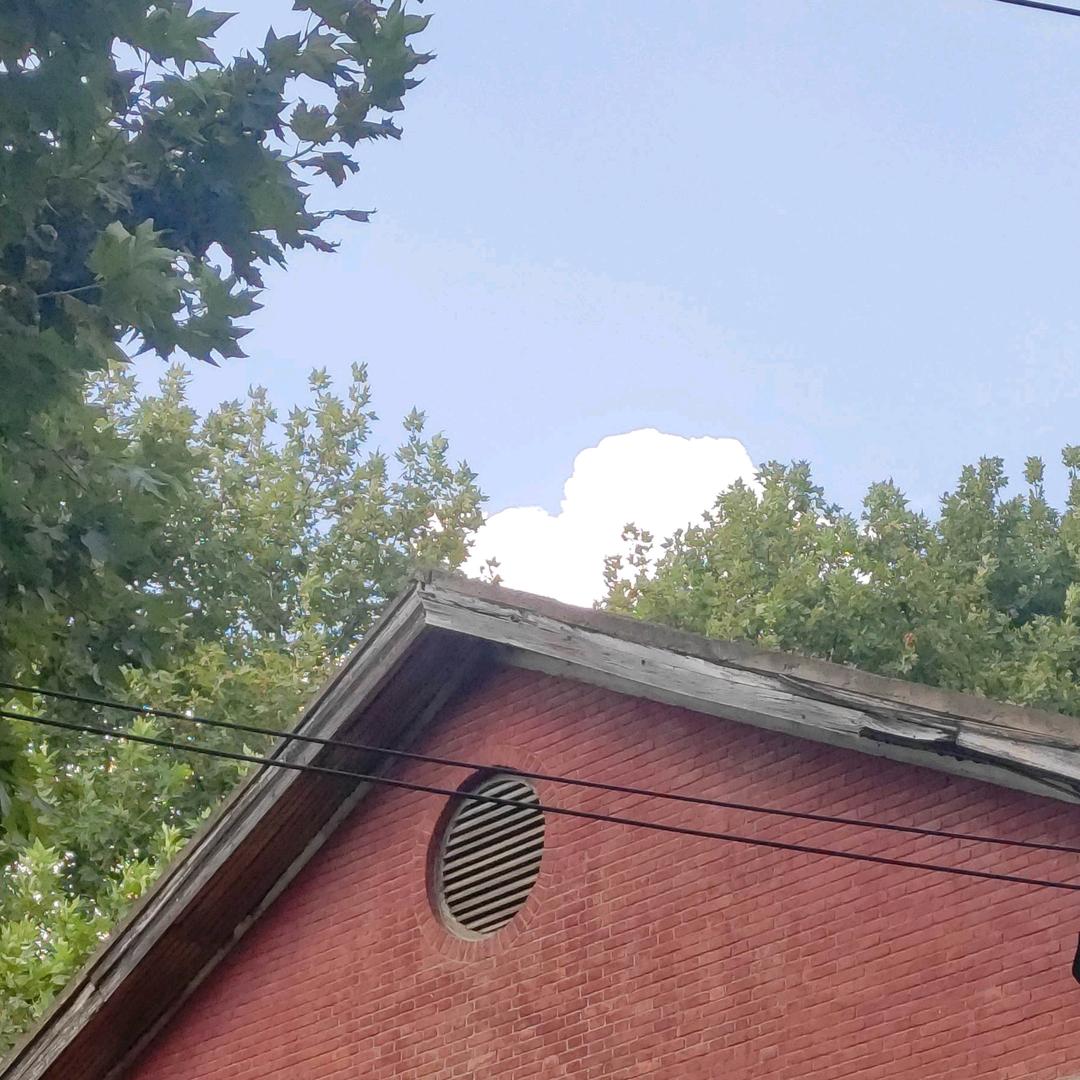 可爱熊熊和小星星