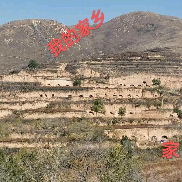 赵巧芳手势舞