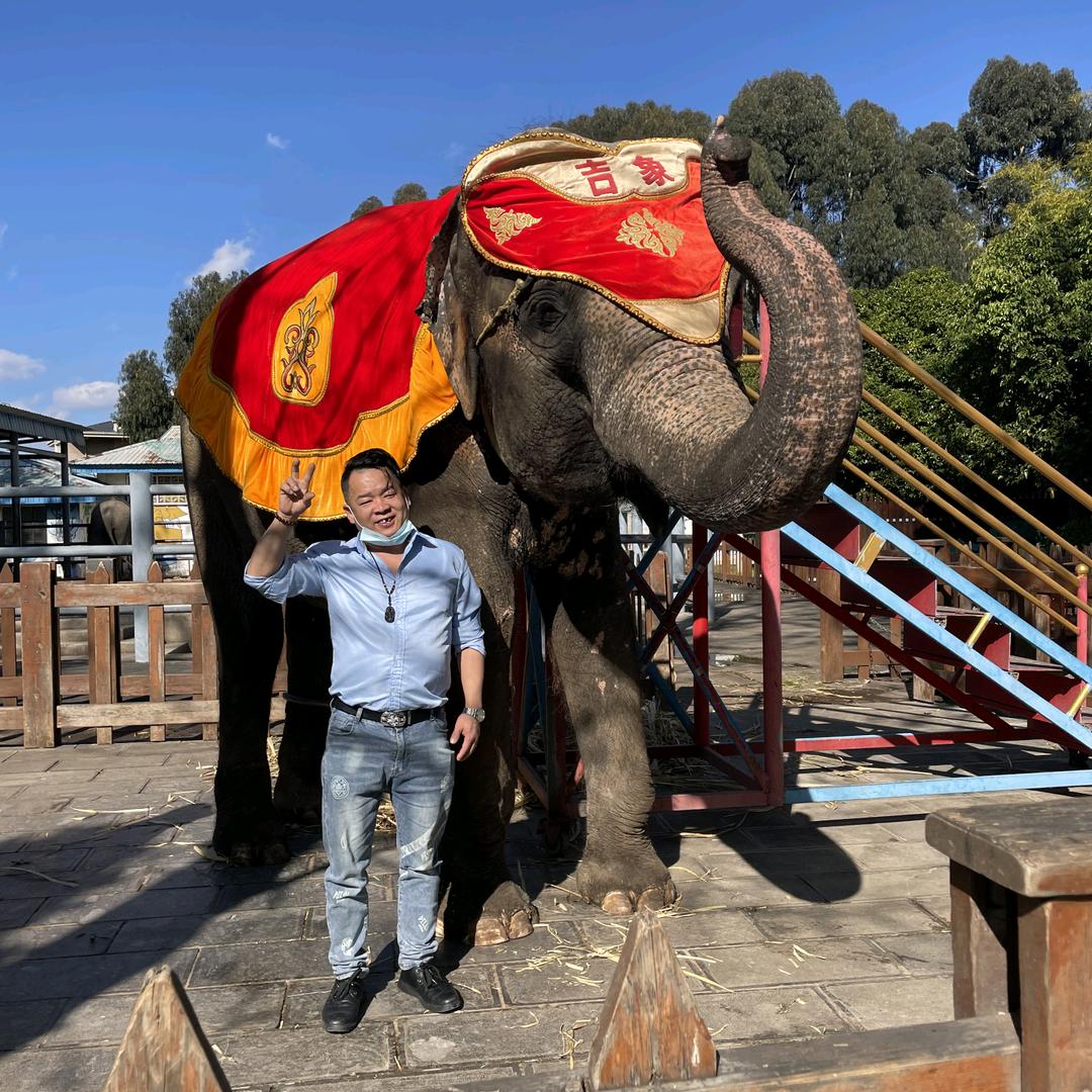 🌷清山不改🌾丽水长青🍃