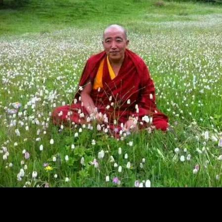 仙人花